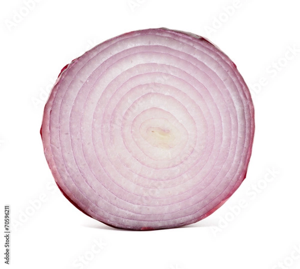 Obraz Sliced red onion