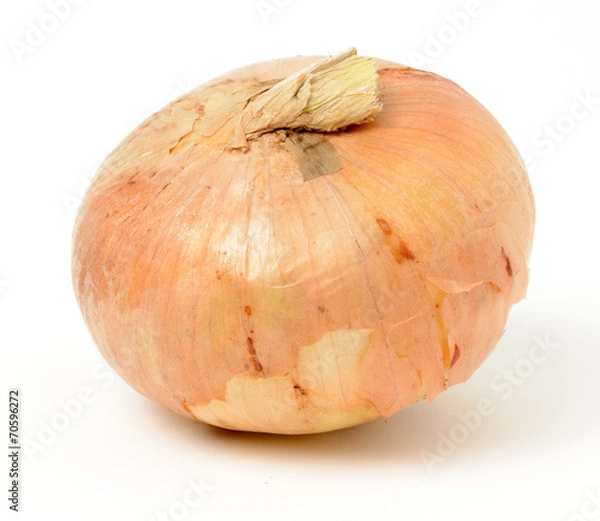 Obraz Onion
