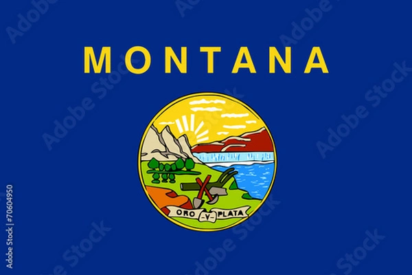 Obraz Montana State Flag