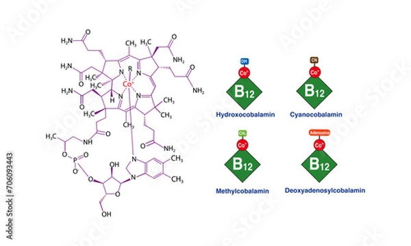 Obraz Vitamin B12 chemical forms