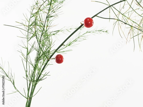Fototapeta asparagus with red berry