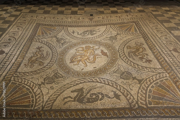 Obraz dolphin mosaic