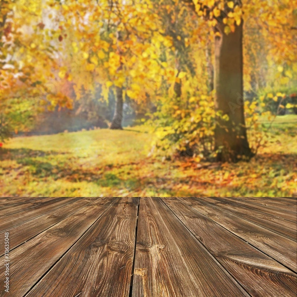Fototapeta Autumn background