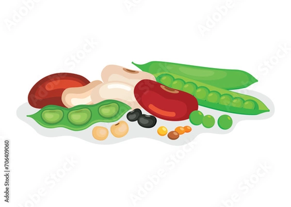 Obraz Pile of different dried beans and legumes vector illustration. Heap of beans and legumes icon vector isolated on a white background. Green pea, lentil, soybean, kidney bean drawing
