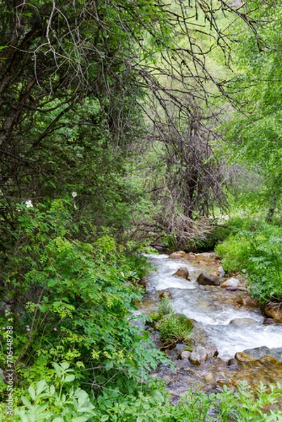Obraz mountain stream with clear water