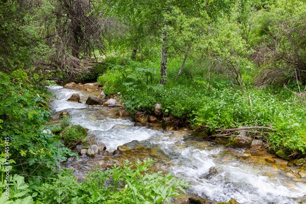 Fototapeta mountain stream with clear water