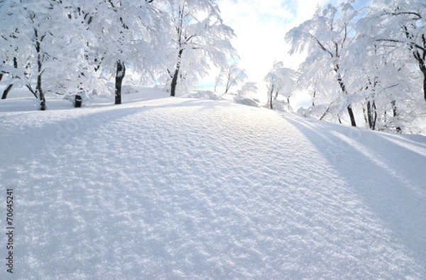 Obraz Srebrny świat