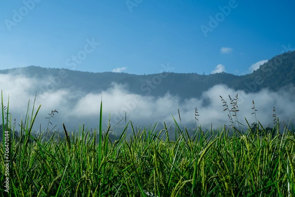 Fototapeta Fog in the middle of the mountains, with grass below and sky above.