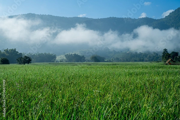 Obraz Fog in the middle of the mountains, with grass below and sky above.