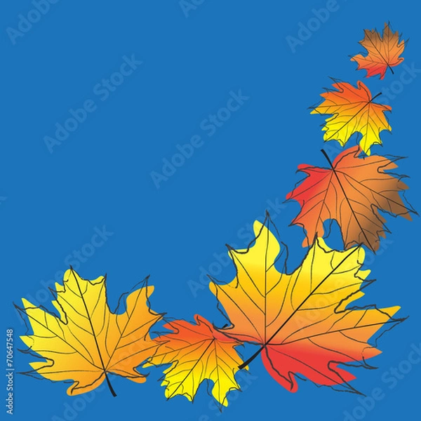 Obraz Leaves in Autumn