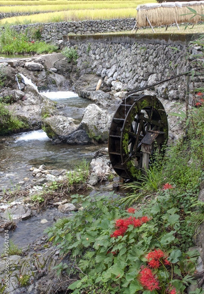 Fototapeta 水車のある風景