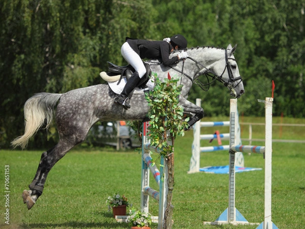 Fototapeta Dapple gray horse and rider at jumping show