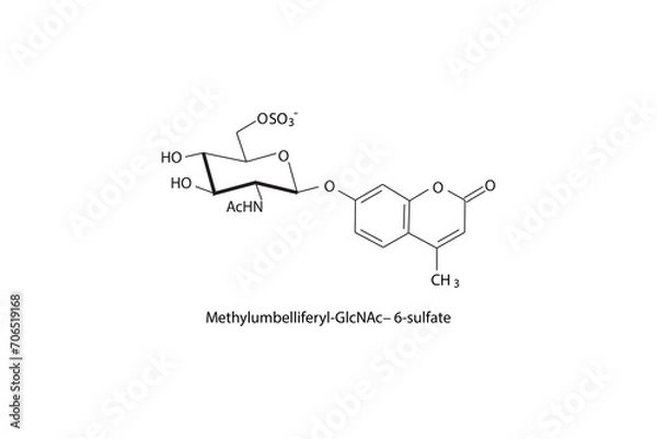Fototapeta Molecular structure diagram of Methylumbelliferyl-GlcNAc−6-sulfate white Scientific vector illustration.
