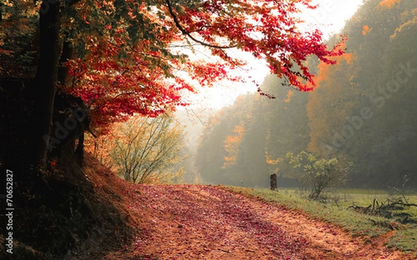 Obraz Beginning of fall