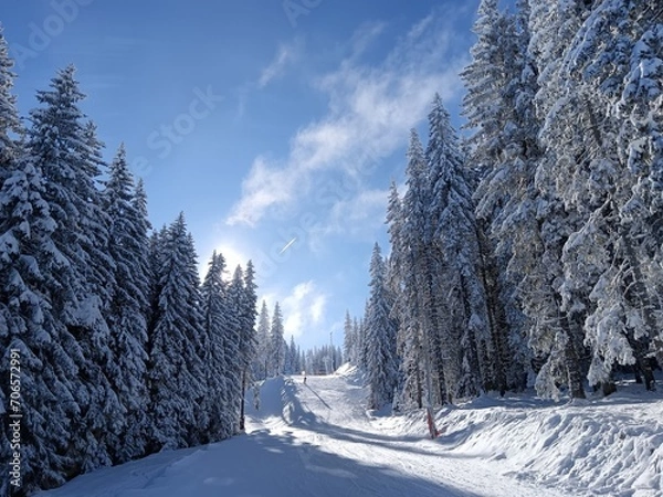 Obraz snow covered road