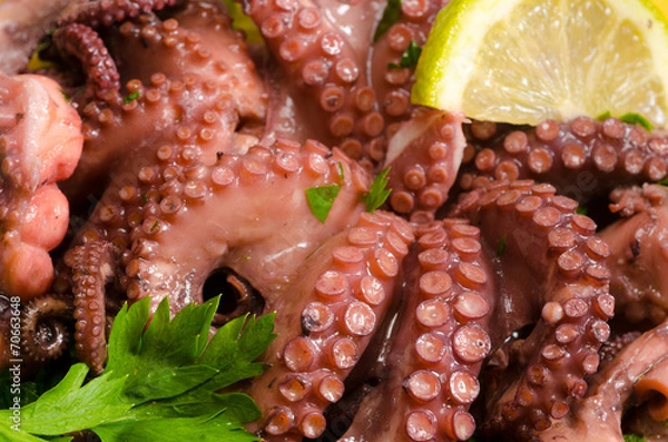 Obraz insalata di polpo