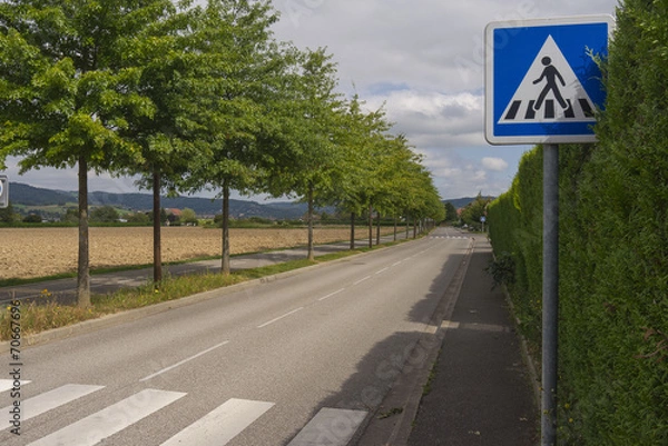 Obraz passage piéton