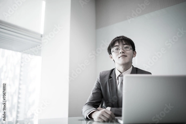 Obraz Young handsome man using laptop in his office