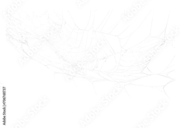 Fototapeta Spider Web v8 Alpha