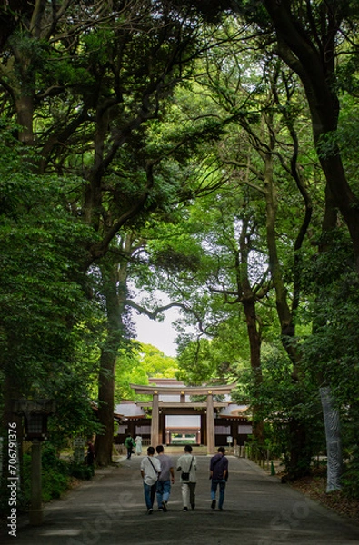 Fototapeta People walking through a Japanese forest towards a Shinto shrine.