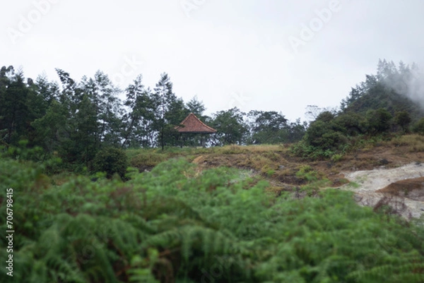 Fototapeta beautiful landscape with a pavilion house