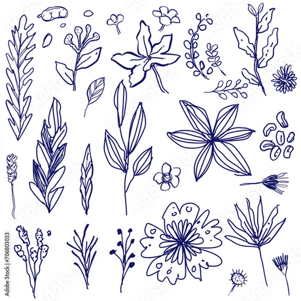 Obraz Foliage hand drawn