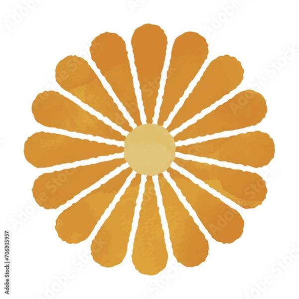 Fototapeta 菊の水彩イラスト