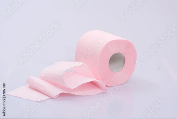 Obraz toilet paper