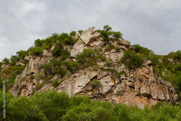 Obraz big rock with trees