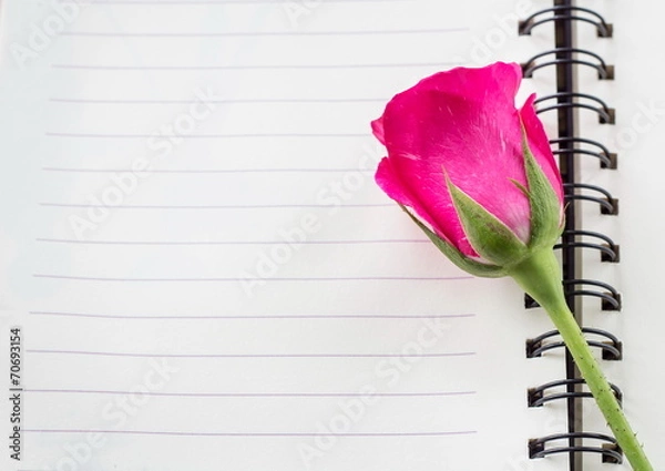 Obraz rose on diary