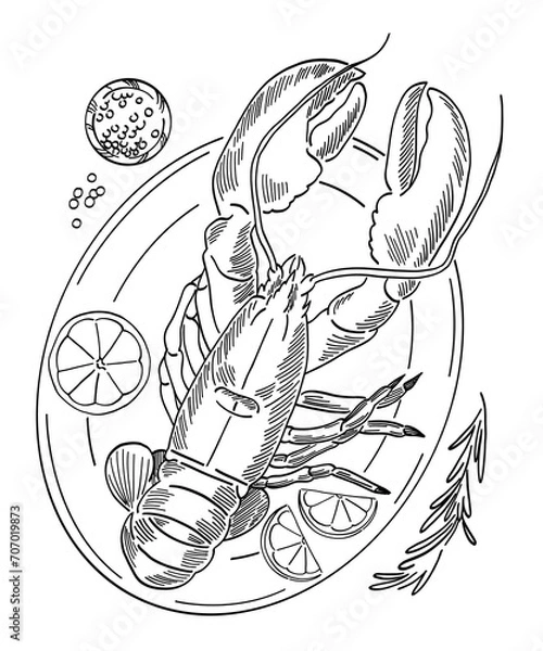 Obraz line art lobster on a white background