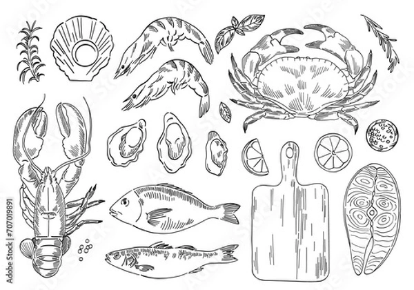 Obraz hand drawn set of seafood