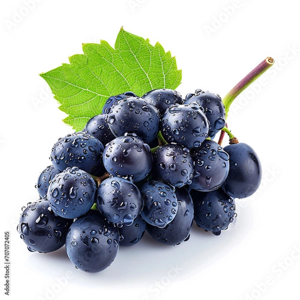 Obraz Grapes isolated. A bunch of ripe blue grapes with leaves in water drops on a white background, ai technology