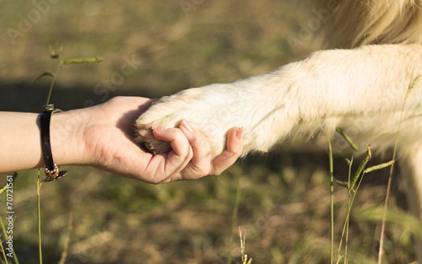 Obraz True Friendship