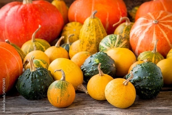 Fototapeta ripe organic colored pumpkins