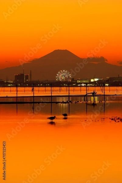 Obraz 三番瀬からの富士山の夕景　ふなばし三番瀬海浜公園