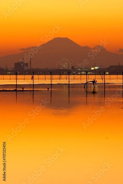 Fototapeta 三番瀬からの富士山の夕景　ふなばし三番瀬海浜公園