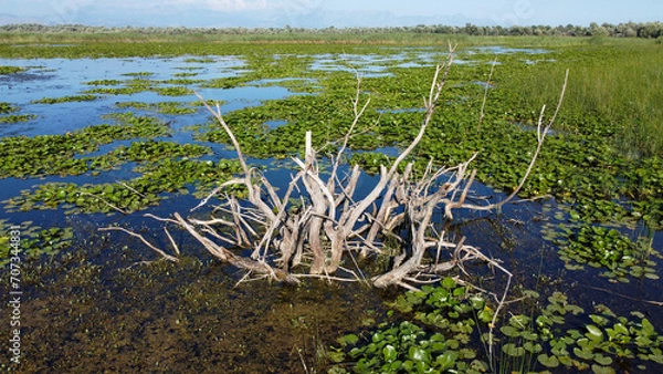 Fototapeta Beautiful View