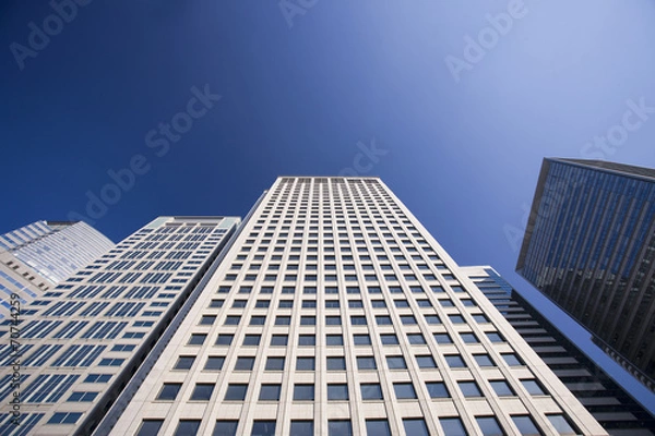 Obraz 高層ビル群