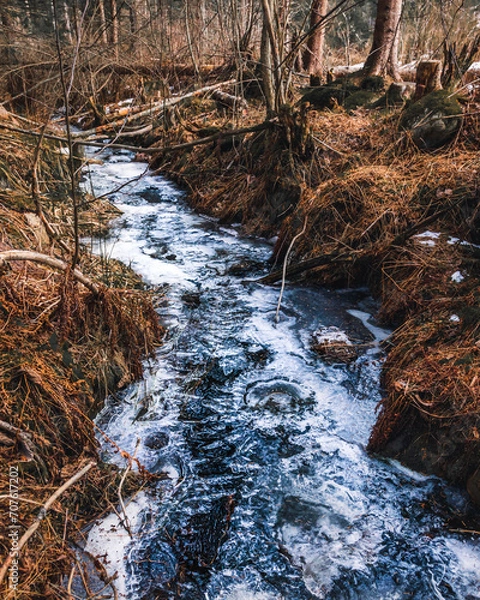 Obraz frozen creek