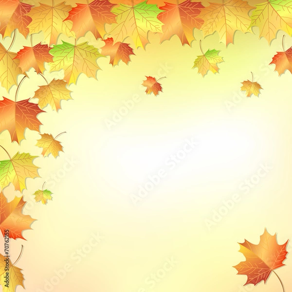 Fototapeta Autumn Leaves Background