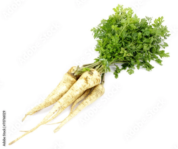 Fototapeta pietruszka