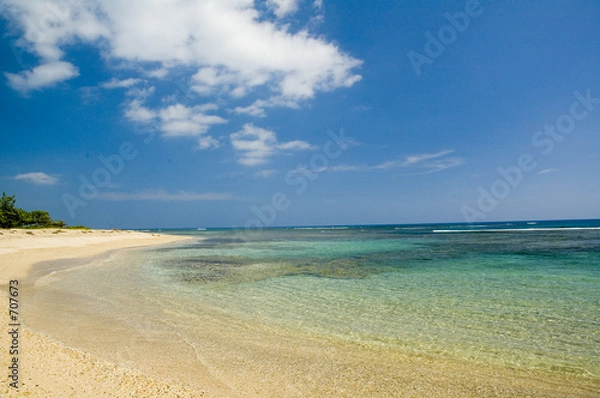 Obraz summer at the beach