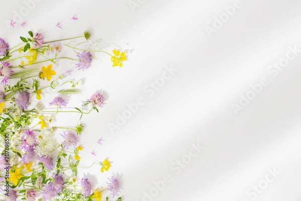 Obraz summer wild flowers on white paper background