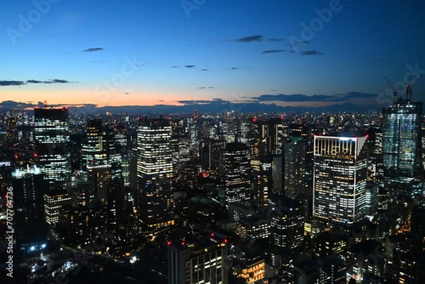 Fototapeta 夏の夕暮れに東京タワーから赤坂方面を望む