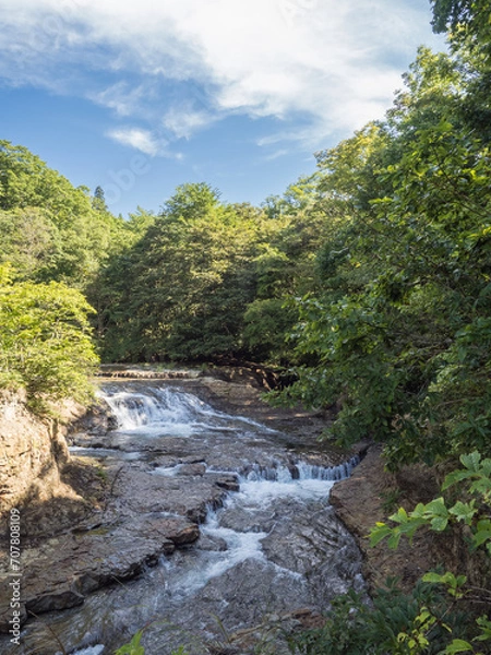 Fototapeta 盤の沢、渓流