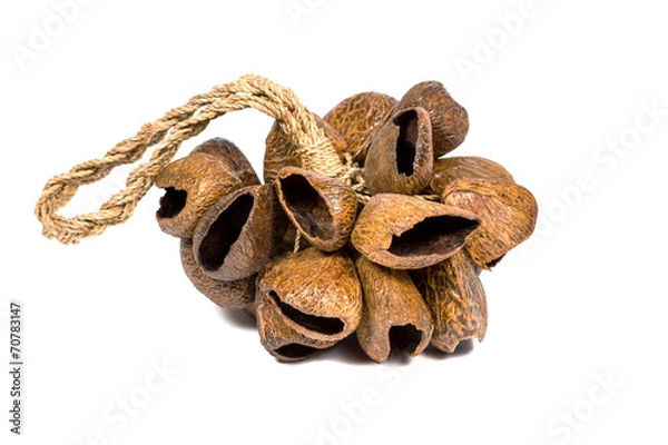 Obraz Indonesian castanets