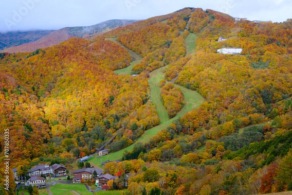 Obraz 志賀高原の秋