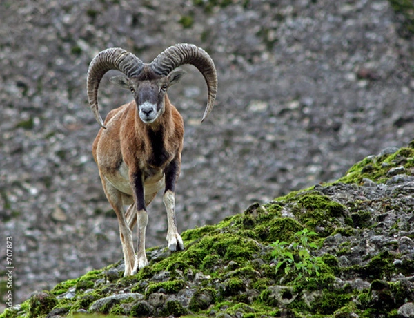 Obraz geländetauglich