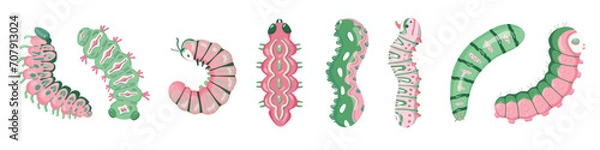 Fototapeta Set spring and summer colorful caterpillars. Pretty caterpillars different silhouette on white background. For festive card, banner, children, pattern, tattoo, decorative, concept. Vector illustration